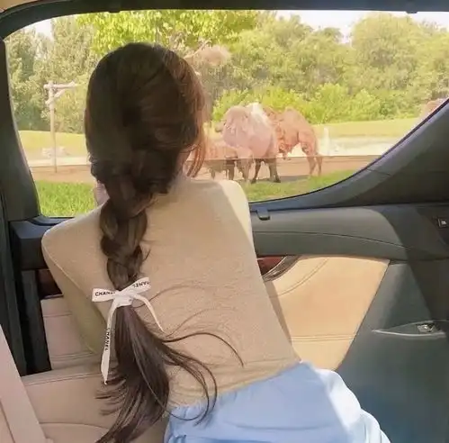 rose甜美女头之一百三十七期