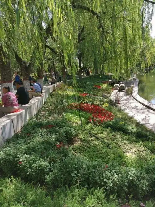  花坡花坡最新消息,新闻,图片,视频聚合阅读新浪网