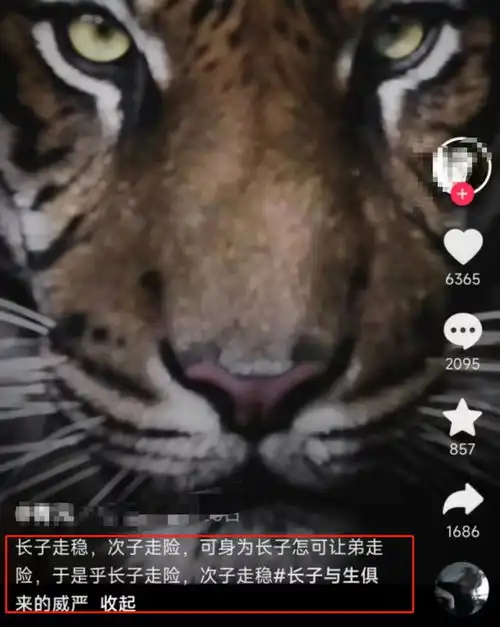  嫡子发卖庶子正妻发配小妾爆火网友吃点好的吧