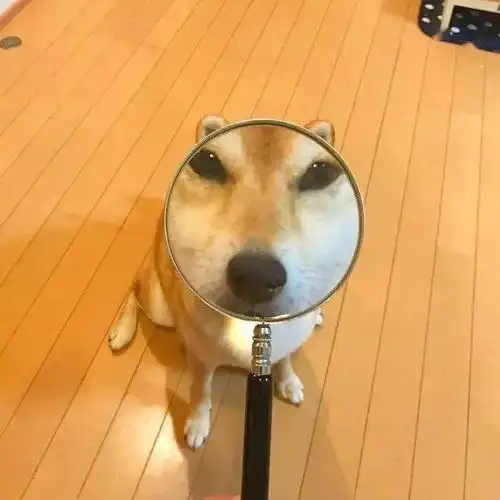  100张超好看的情侣头像甜甜甜到心窝进来拿图