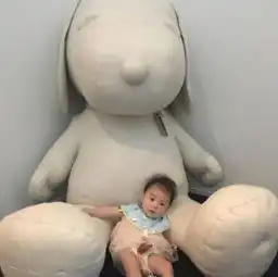  陈冠希秦舒培看大熊猫变路人,网友被漂亮小姐姐抢镜了