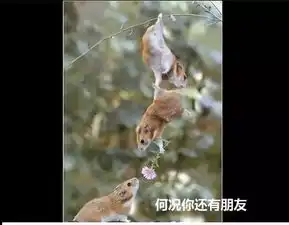  三伏天上班,看一下这个心情大好