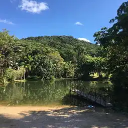 2018库兰达热带雨林公园门票,凯恩斯库兰达热带雨林公园游玩攻略,库兰达热带雨林公园游览攻略路线地址门票价格