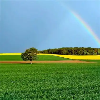  2020带来好运的微信头像风景图片,祝大家鼠年好运