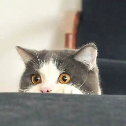 我找我二舅
