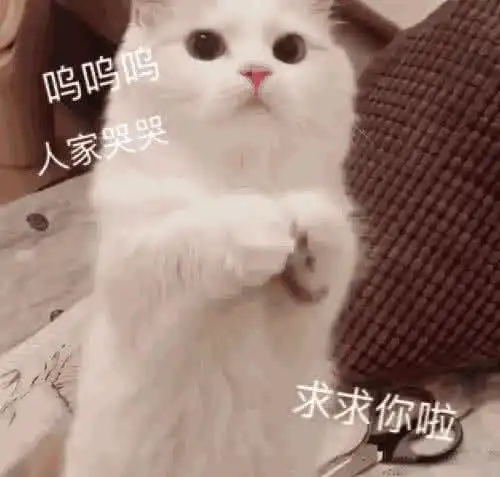  打游戏菜被队友骂了用表情包回怼不是我菜,手冷,手冷你懂吧