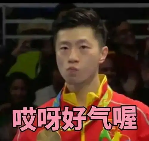  奥运国乒最全表情老乡金牌是搁这进货不