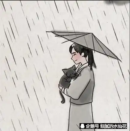  一禅小和尚,天不生我我喵小姐,万古喵界如长夜