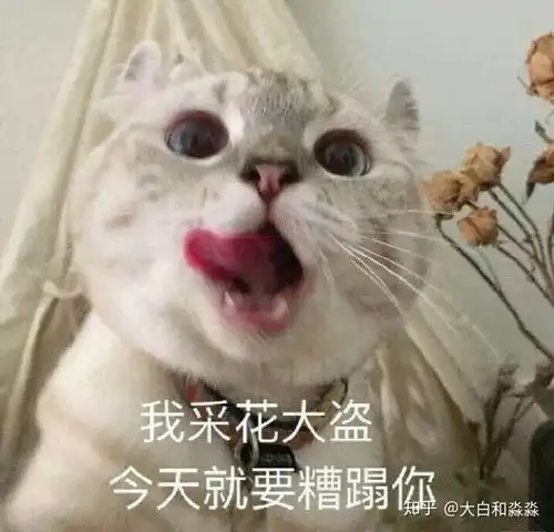  情侣好了半年感情真的会变淡吗