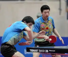  科威特公开赛男双马龙张继科比赛中