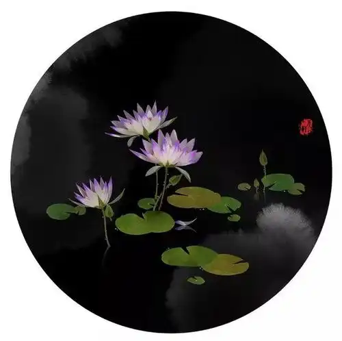  有声读物丨红舞鞋下