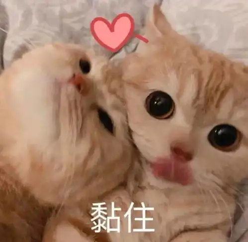  沙雕搞笑表情包i我不李姐