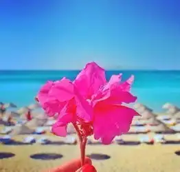  一句话经典温馨的美图句子