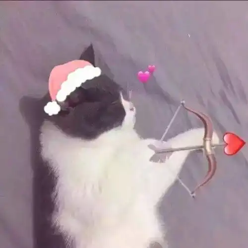  微信头像丨高冷情侣头像一男一女,情侣头像卡通呆萌一对