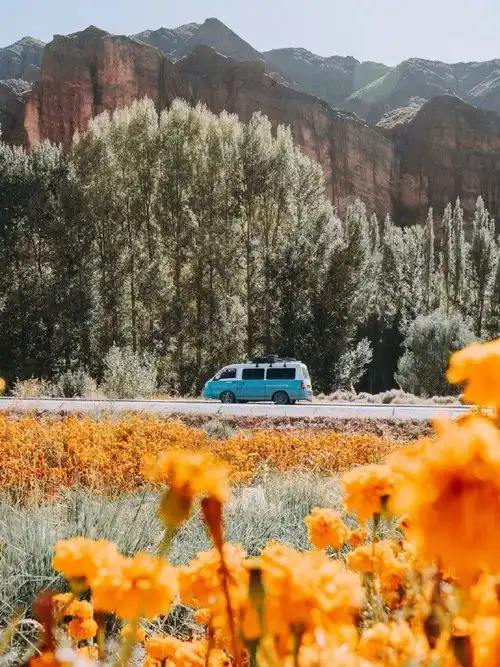  这对异想天开的小情侣把家装进4㎡房车,7个月环游大半个中国,低成本还超浪漫...