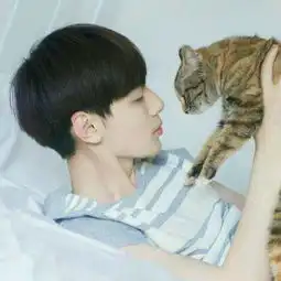  这一类头像要有猫的,或者这个的情头