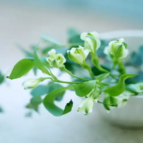  江苏农行金融ic卡多功能应用的实践与思考