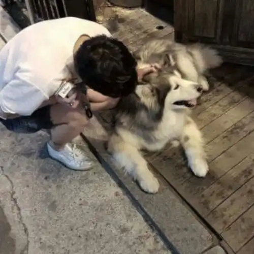  寒风吹月如钩轩弟