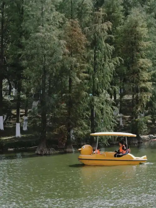  广州情侣必去的20个约会圣地带对象打卡完,就结婚吧