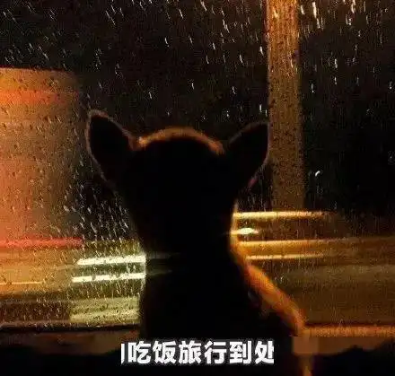 内江的贵族们今日份快乐空投,请接收