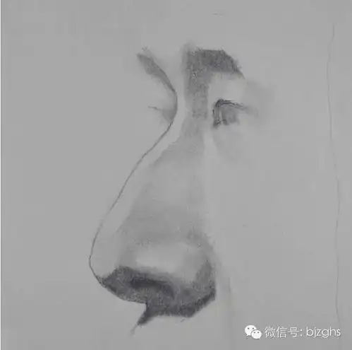  素描头像五官中之鼻子的表现