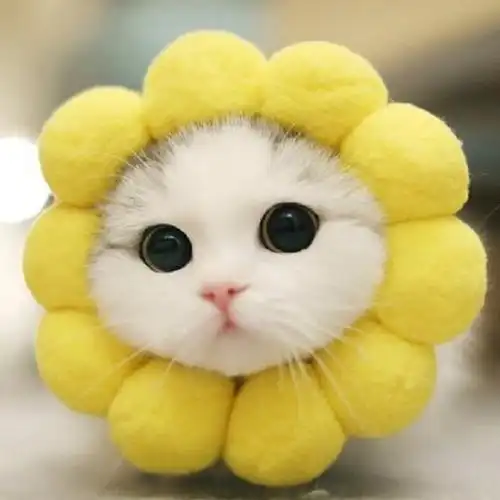 晒一晒朋友圈里的沙雕截图