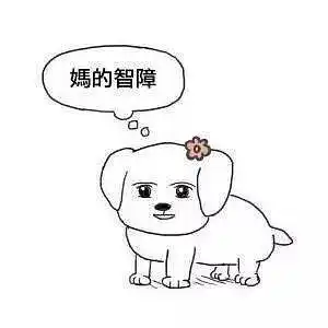 原创游记澳门初体验,好嗨好开心好坑队友之旅