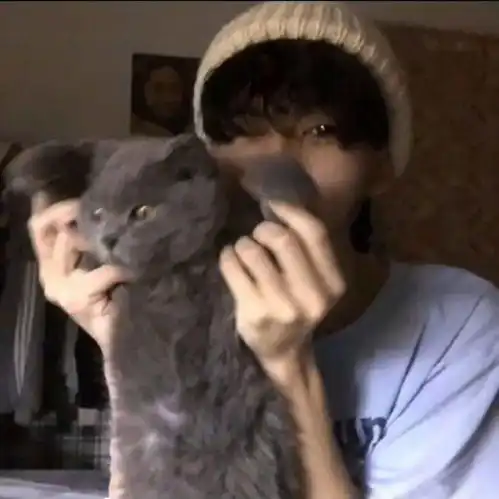  氛围感头像书里总爱书写到喜出望外的傍晚