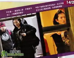  过气情侣同开唱郑伊健得意梁咏琪拼命救亡