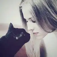  情侣头像抱着猫咪韩版微信头像图片大全