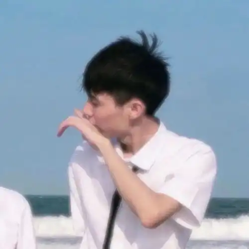  真人情头人人手持心中的圣旗,满面红光地走向成功