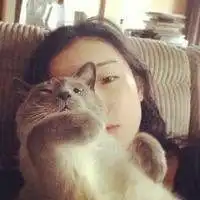  有关猫的女生头像微信头像图片大全