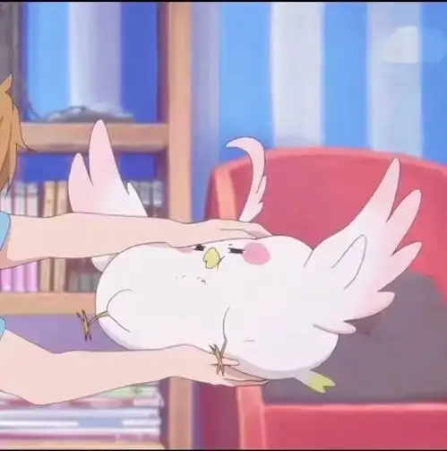  情头无处安放的喜欢