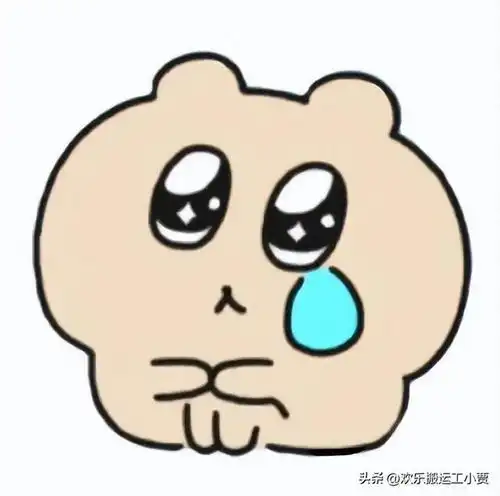  成年人总是在小事上崩溃哈哈哈感觉自己看了一集倒霉熊