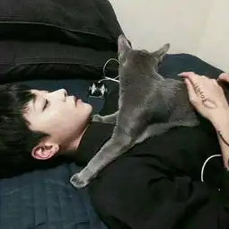  帮我找一下跟这个像情头的图片呗