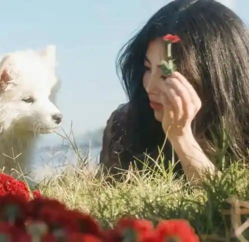  全网爆火的大理00后美女流浪诗人,她的人生谜团越扒越想哭