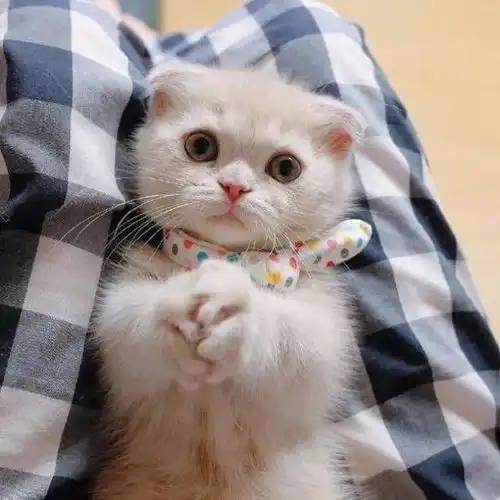  头像来了祝你们爱到民政局疼到妇产科甜到奶粉店久到敬老院