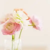  个性唯美清新意境头像尽享风中那淡淡的花香和迷人的爽意