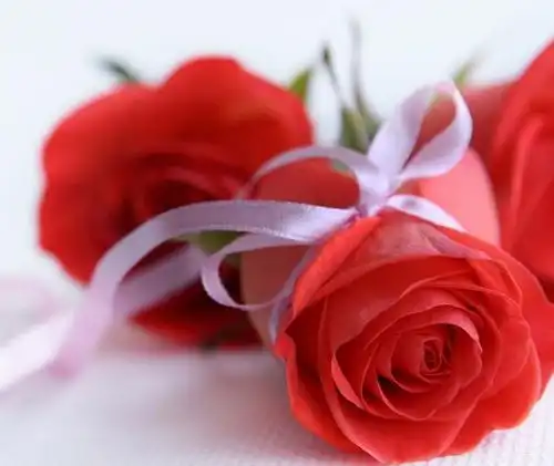  3属相牛年大发横财,身价暴升,工作高升,财气旺上加旺