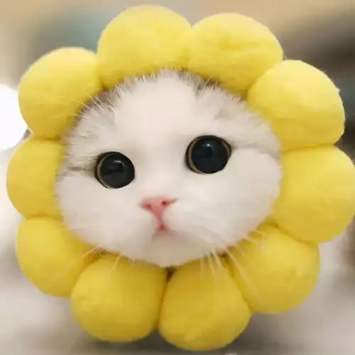  菊花被电钻这个年轻人的惨痛经历给很多人提了个醒