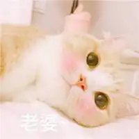 情侣头像一人一张可爱微信头像图片大全
