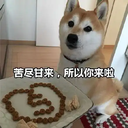  一组土味情话表情包七夕情人节快乐