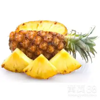  求购菠萝荔枝桂圆甜瓜柠檬西瓜山楂桔子桃子椰子杏子人参果甘蔗-黄页88网