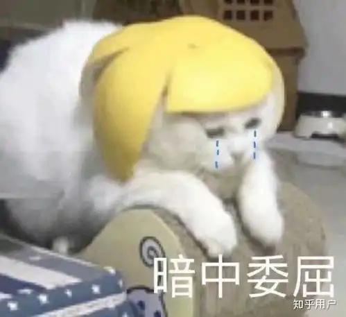  有个海军男朋友是一种怎样的体验