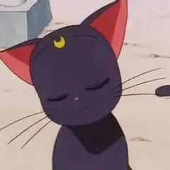  美少女战士露娜猫头像图片大全