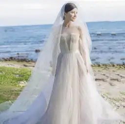 玫瑰公主婚纱礼服2017新款一字肩新娘结婚出门纱韩式显瘦拖尾