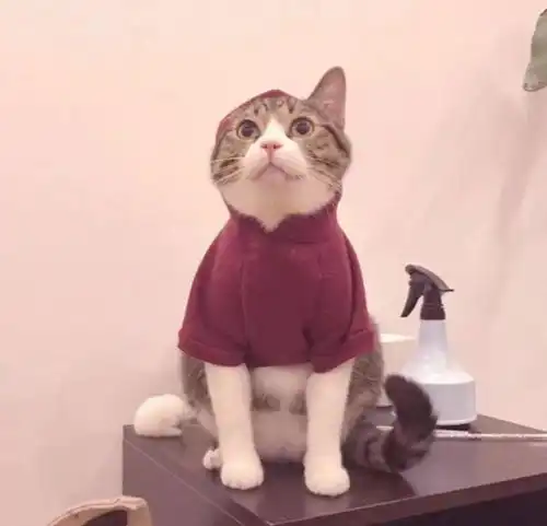  头像我想你正在听