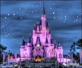  不要试图让孩子过上你以为正确的人生