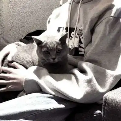  qq头像男生抱着宠物抱着猫的帅气头像