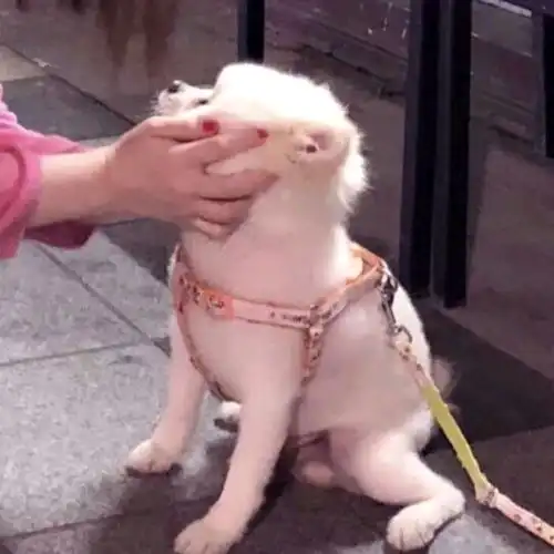  沙雕情头6看沙雕头像,品沙雕人生з